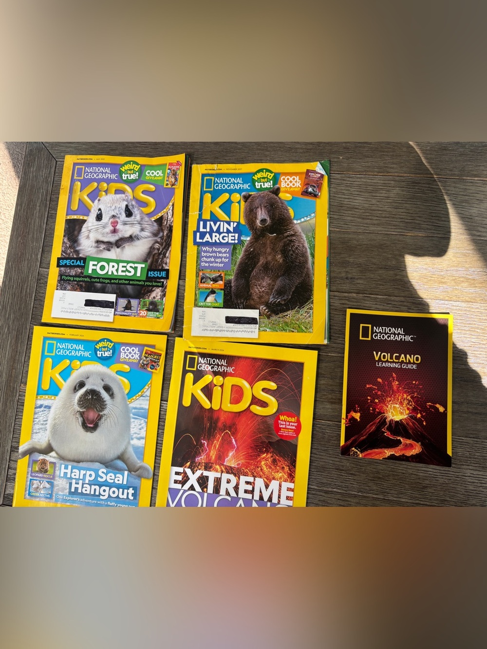 National Geographic Kids Magazines Set with Bright Yellow Borders